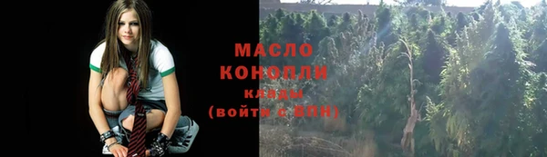 дживик Богородск