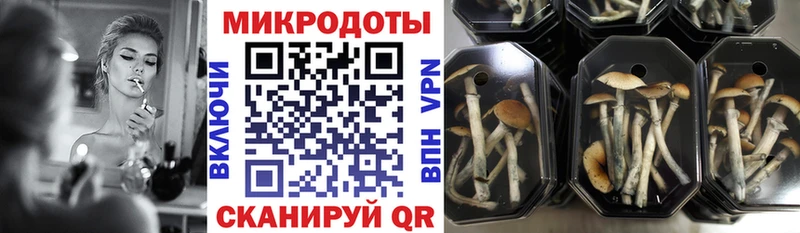 Псилоцибиновые грибы мицелий  Урень 